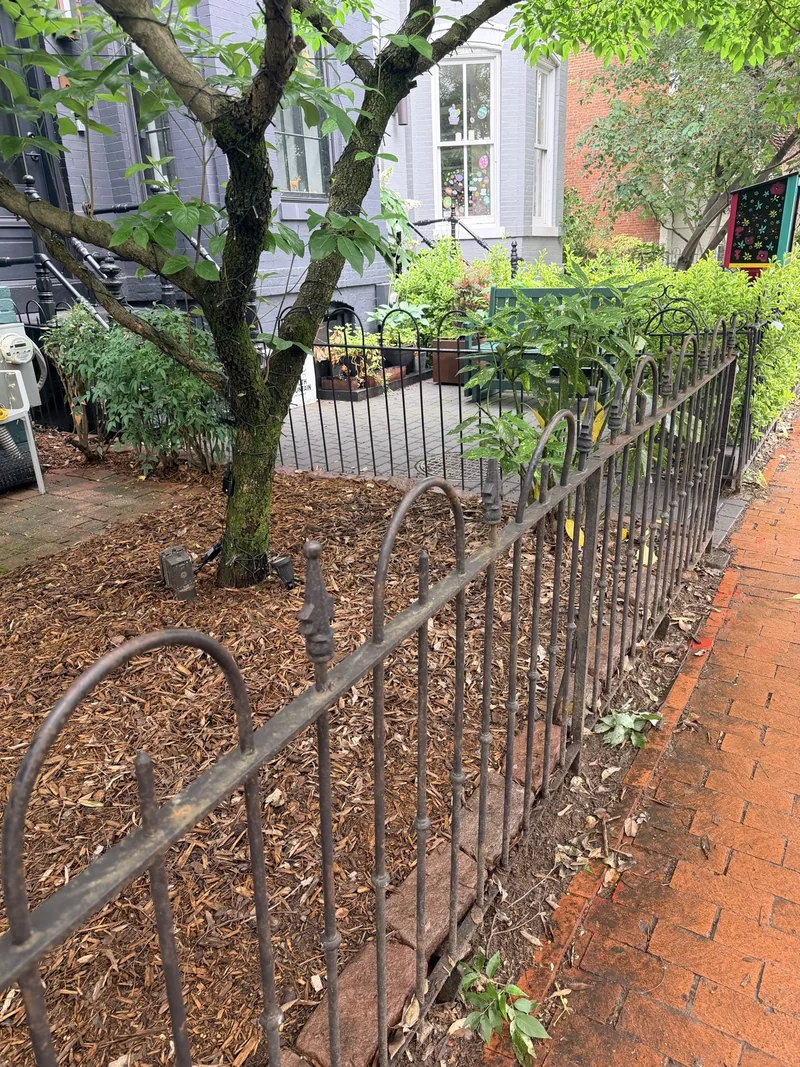 Capitol Hill sidewalk iron fence before restoration